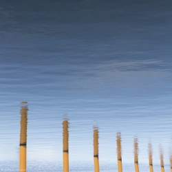 Reflection North Sea